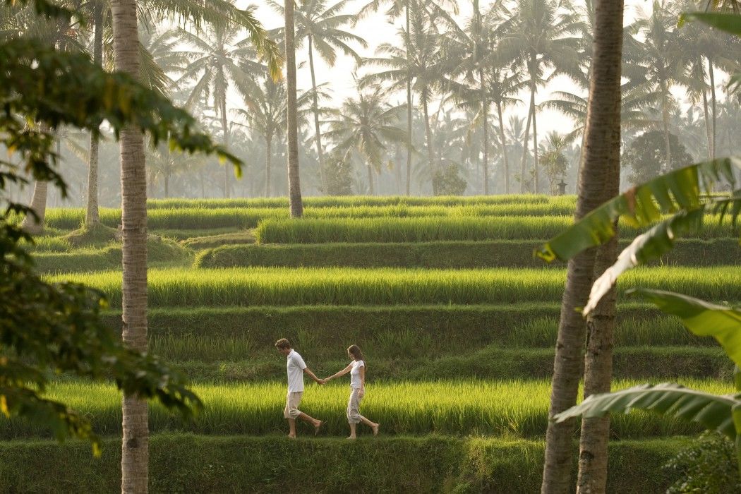 กามันดาลู อูบุด รีสอร์ต Hotel ภายนอก รูปภาพ
